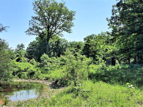 373 Longhorn Dr, Chadwick, MO 65629 photo 34