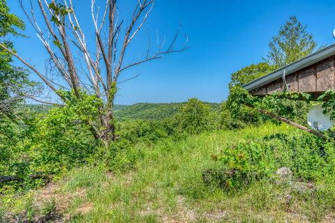 373 Longhorn Dr, Chadwick, MO 65629 photo 26