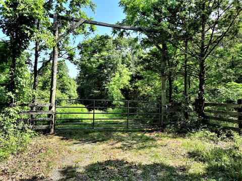 373 Longhorn Dr, Chadwick, MO 65629 photo 43