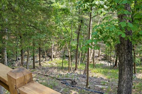 1649 Timberlake Rd, Branson, MO 65616 photo 56