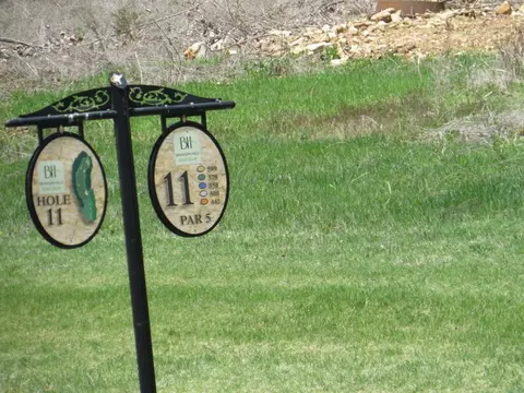 lot1 Ph 8 Pebble Beach Dr, Branson, MO 65616 photo 6