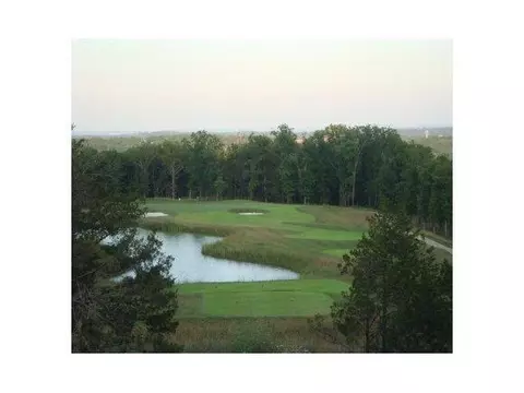 lot1 Ph 8 Pebble Beach Dr, Branson, MO 65616 photo 9