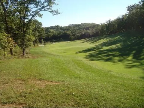 lot1 Ph 8 Pebble Beach Dr, Branson, MO 65616 photo 8