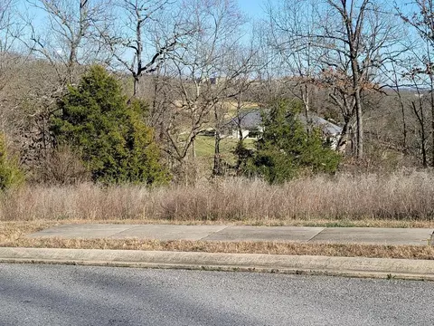 lot1 Ph 8 Pebble Beach Dr, Branson, MO 65616 photo 3