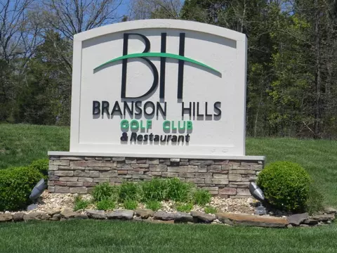 lot1 Ph 8 Pebble Beach Dr, Branson, MO 65616 photo 20