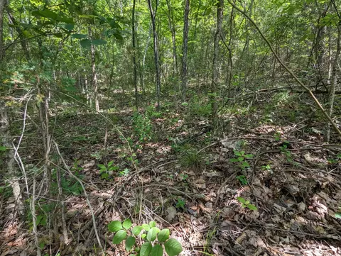 lot S 3435 Virgin Bluff Dr, Galena, MO 65656
