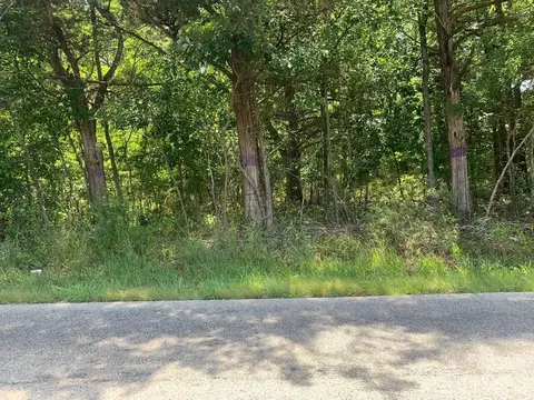 210 Quebec Dr, Branson, MO 65616 photo 2