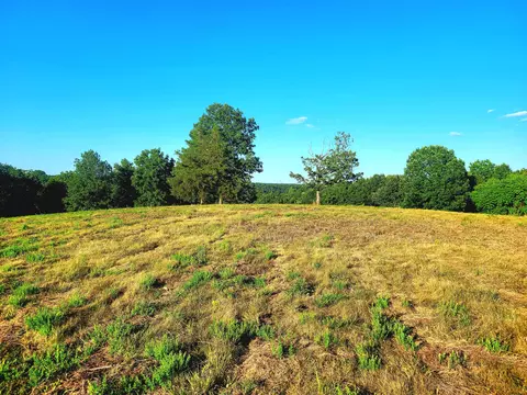 000 Hedge Apple Rd, Spokane, MO 65754 photo 3