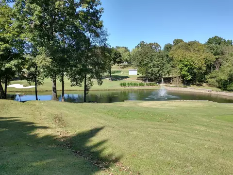 329 Lancashire Dr, Branson, MO 65616 photo 3