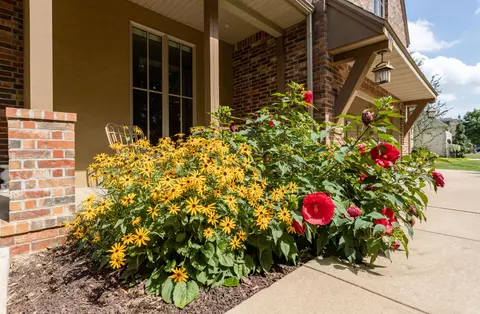 5334 S Parklane Ave, Springfield, MO 65810 photo 8