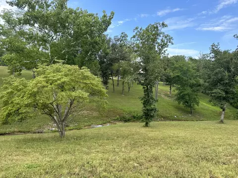 20431 E State Highway 76, Ava, MO 65608 photo 43