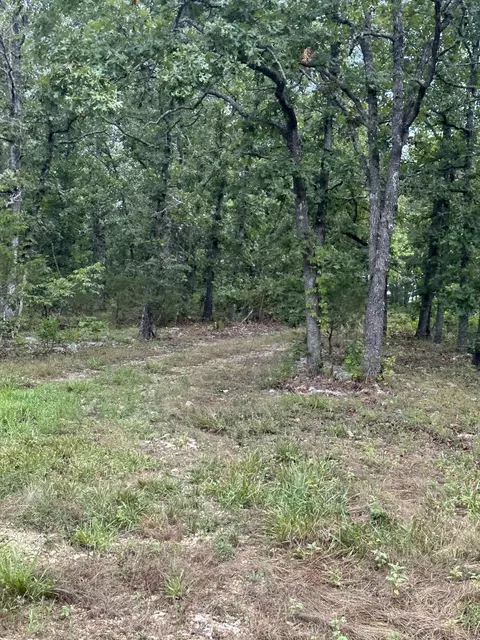 20431 E State Highway 76, Ava, MO 65608 photo 41