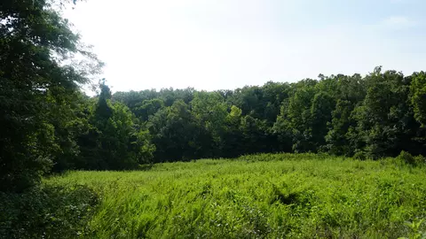 252 Douglas County Rd #1, Ava, MO 65608 photo 3