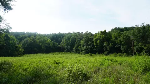 252 Douglas County Rd #1, Ava, MO 65608 photo 2