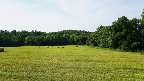252 Douglas County Rd #3, Ava, MO 65608 photo 3
