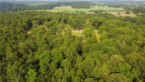 1979 County Road 373, Thayer, MO 65791 photo 14