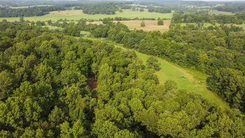 1979 County Road 373, Thayer, MO 65791 photo 16