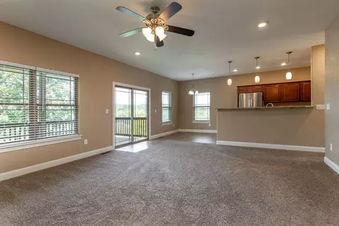 117 Sapling Dr, Branson, MO 65616 photo 8