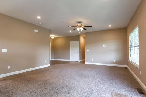 117 Sapling Dr, Branson, MO 65616 photo 9