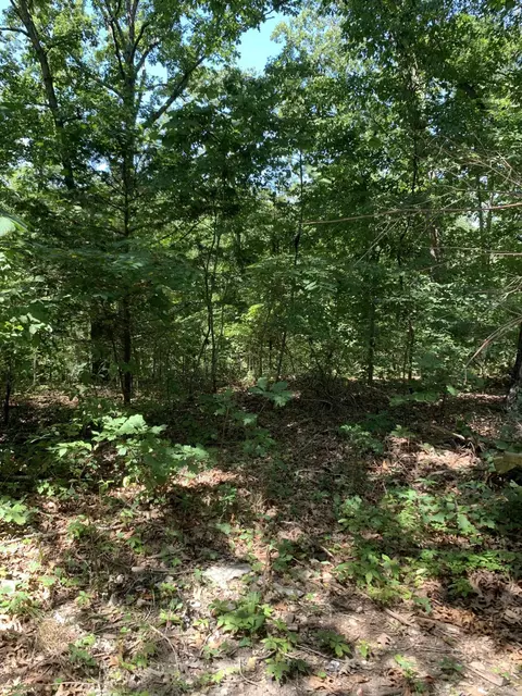2384 Meadow View Rd, Ozark, MO 65721 photo 3