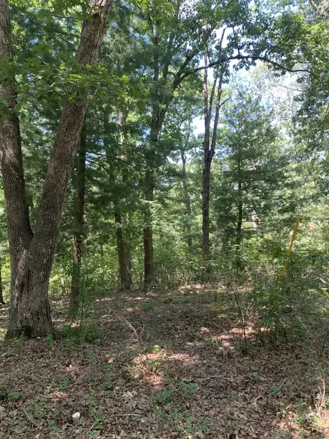 2384 Meadow View Rd, Ozark, MO 65721 photo 4