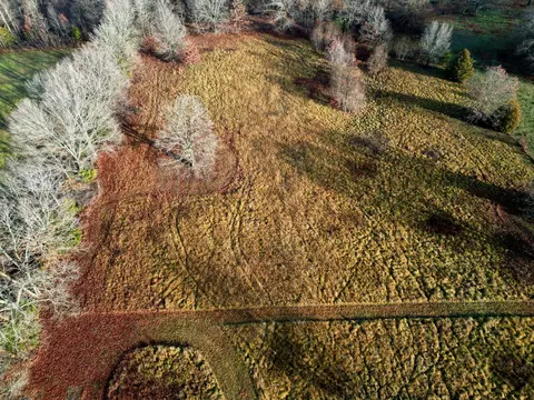 Route 7 Box 7508, Ava, MO 65608 photo 22