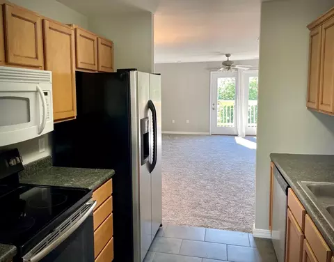 320 Toni Ln Unit 3 Bld 9, Branson, MO 65616 photo 7