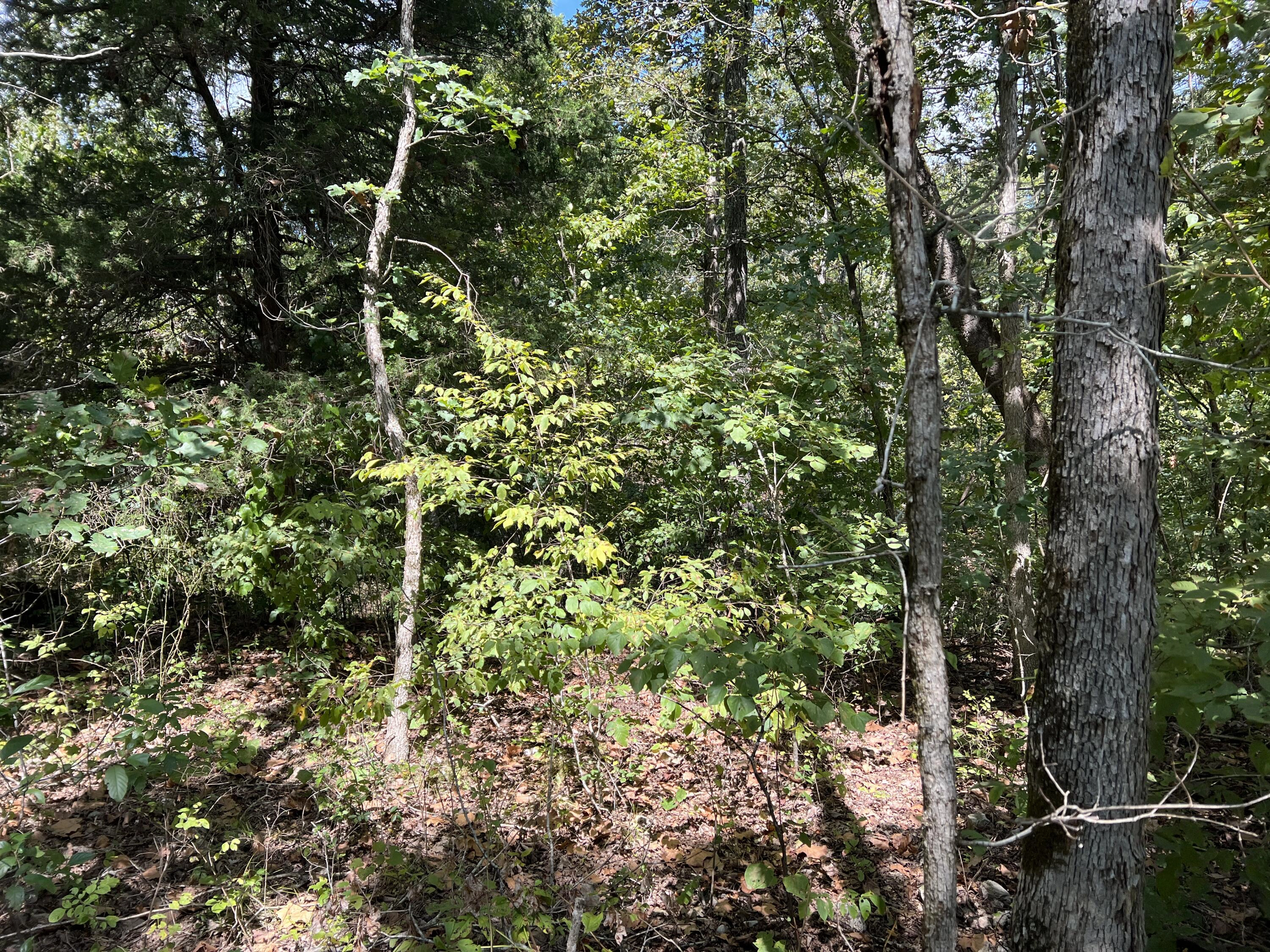 002 County Rd 527  