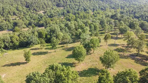5 Corkery Road, Tunas, MO 65764 photo 7