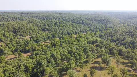 5 Corkery Road, Tunas, MO 65764 photo 8