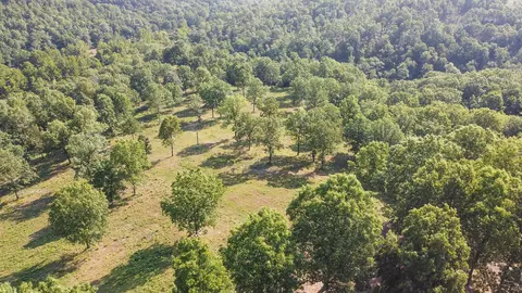 5 Corkery Road, Tunas, MO 65764 photo 6
