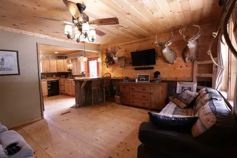 753 Chadwick Rd, Chadwick, MO 65629 photo 12
