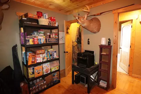 753 Chadwick Rd, Chadwick, MO 65629 photo 33