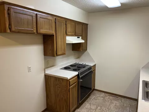 706 E Dyann Dr, Nixa, MO 65714 photo 9