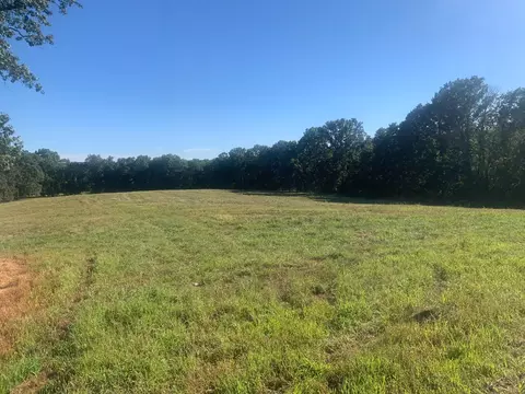 000 Highway 160, Gainesville, MO 65655 photo 3