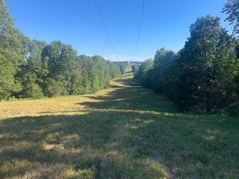 000 Highway 160, Gainesville, MO 65655 photo 8