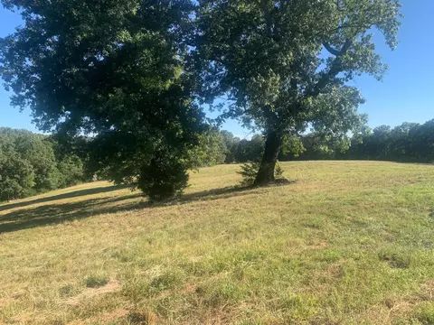 000 Highway 160, Gainesville, MO 65655 photo 4
