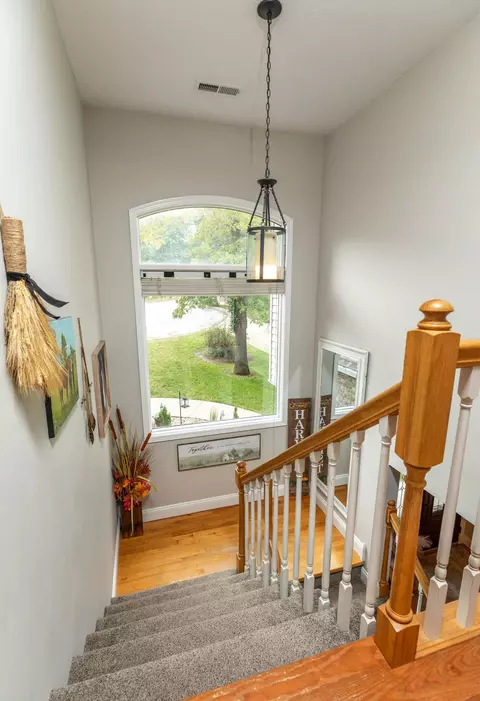 445 Loganberry Rd, Branson, MO 65616 photo 24