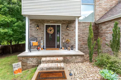 445 Loganberry Rd, Branson, MO 65616 photo 38
