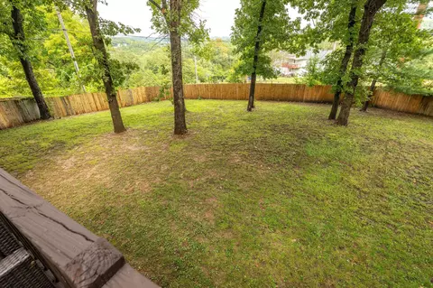 445 Loganberry Rd, Branson, MO 65616 photo 34