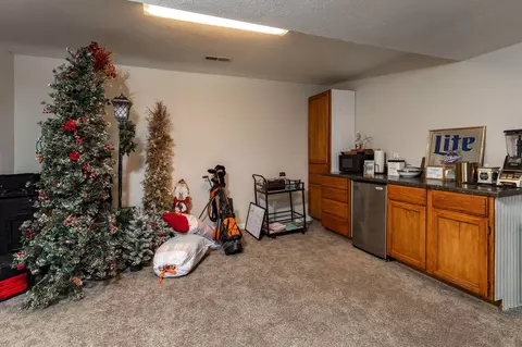 445 Loganberry Rd, Branson, MO 65616 photo 28