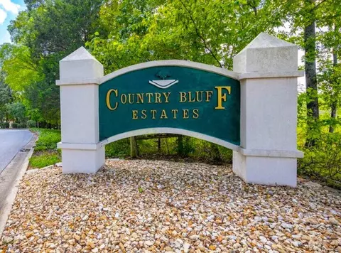 445 Loganberry Rd, Branson, MO 65616 photo 50
