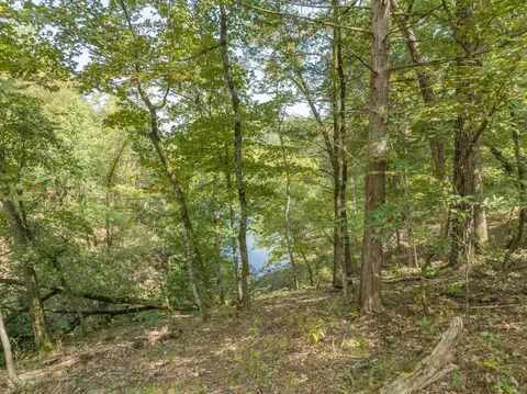 19646 Private Road 2282, Eagle Rock, MO 65641 photo 65
