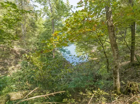 19646 Private Road 2282, Eagle Rock, MO 65641 photo 66