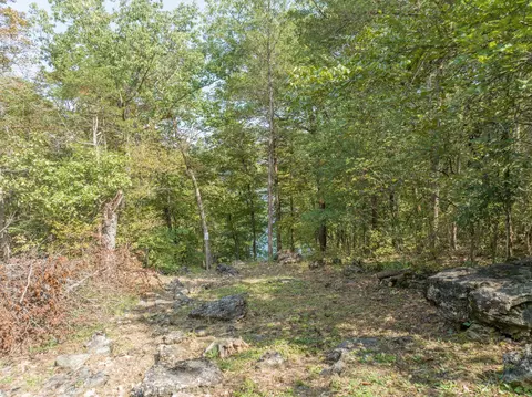 19646 Private Road 2282, Eagle Rock, MO 65641 photo 63