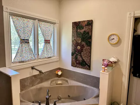 195 Cindy Ave, Protem, MO 65733 photo 34