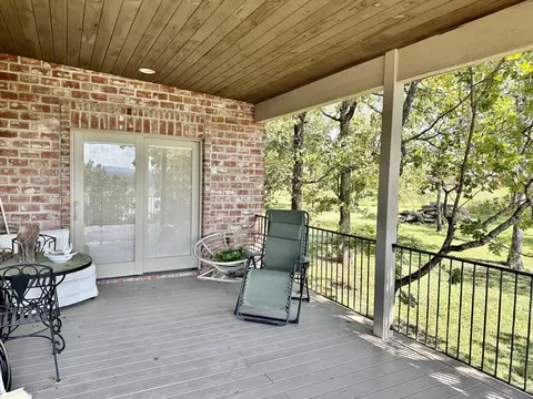 195 Cindy Ave, Protem, MO 65733 photo 17