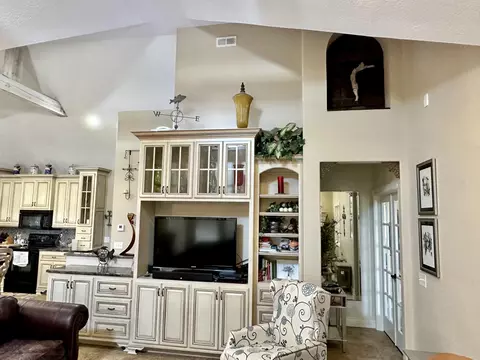 195 Cindy Ave, Protem, MO 65733 photo 21