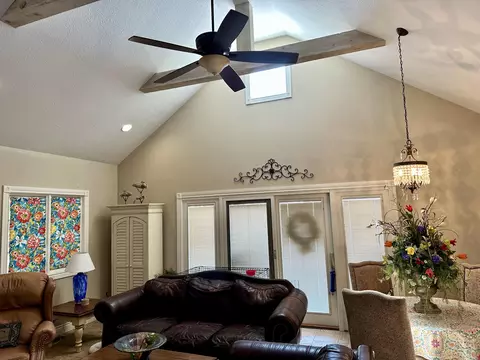 195 Cindy Ave, Protem, MO 65733 photo 23