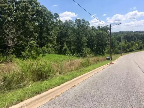 Lt 10 Kirkland Drive, Branson, MO 65616 photo 3